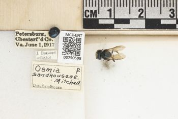 Media type: image;   Entomology 790598 Aspect: Labels